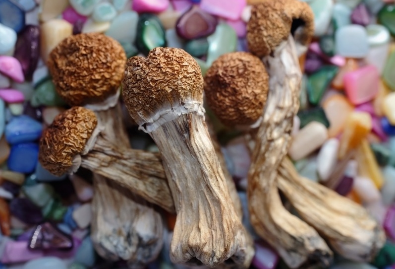 Dermatological Skincare